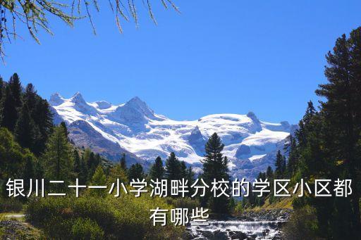 银川二十一小学湖畔分校的学区小区都有哪些