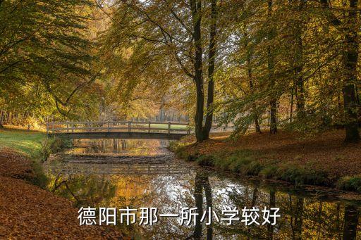 德阳学区房哪个地段最好，德阳房子哪个地段好