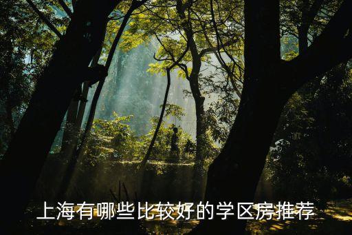 上海有哪些比较好的学区房推荐