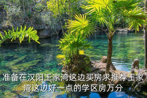 汉阳学区房有哪些楼盘，汉阳王家湾有什么带幼儿园的楼盘吗