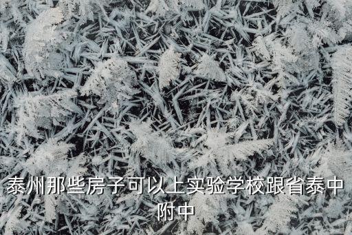 泰州那些房子可以上实验学校跟省泰中附中