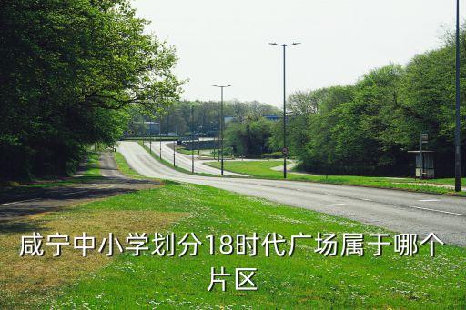 咸宁中小学划分18时代广场属于哪个片区