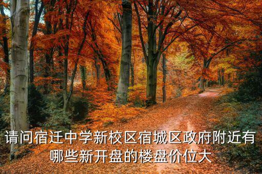请问宿迁中学新校区宿城区政府附近有哪些新开盘的楼盘价位大