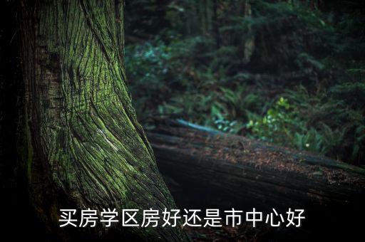 买房学区房好还是市中心好