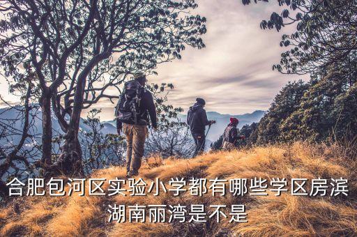 合肥包河区实验小学都有哪些学区房滨湖南丽湾是不是