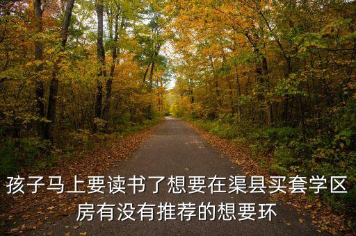 孩子马上要读书了想要在渠县买套学区房有没有推荐的想要环