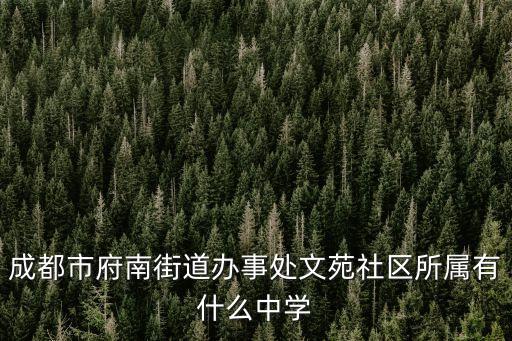 成都市府南街道办事处文苑社区所属有什么中学