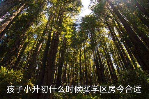 哪个阶段的学生最需要学区房，小孩上小学前多久要买学区房