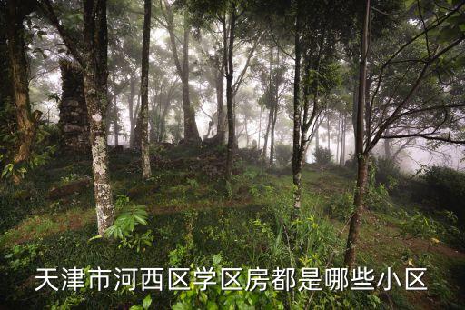 天津市河西区学区房都是哪些小区