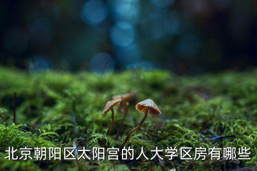 北京朝阳区太阳宫的人大学区房有哪些