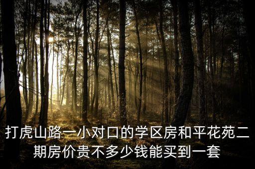 打虎山路一小对口的学区房和平花苑二期房价贵不多少钱能买到一套