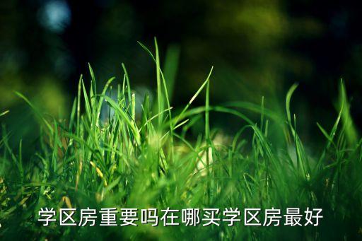 学区房重要吗在哪买学区房最好