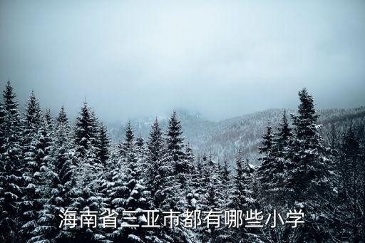 海南省三亚市都有哪些小学