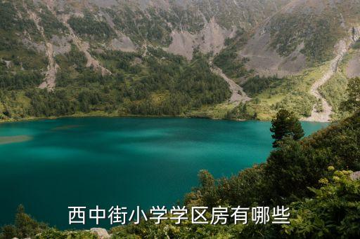 西中街小学学区房有哪些