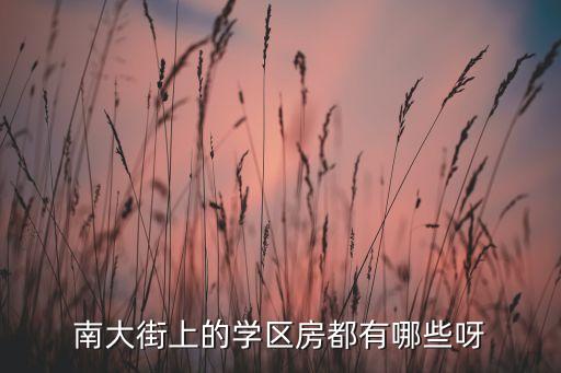 南大街上的学区房都有哪些呀