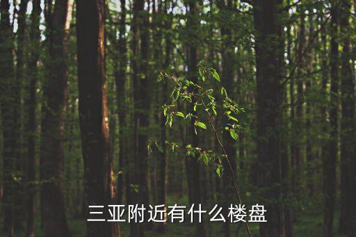 三亚附近有什么楼盘
