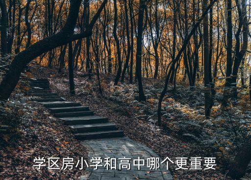 学区房小学和高中哪个更重要