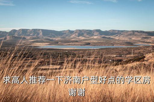 求高人推荐一下济南户型好点的学区房谢谢