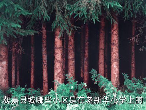 获嘉县城哪些小区是在老新华小学上的