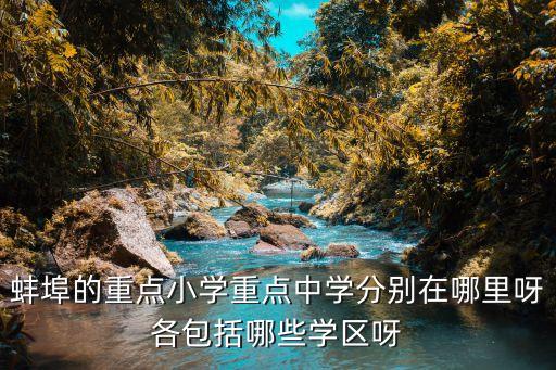 蚌埠的重点小学重点中学分别在哪里呀各包括哪些学区呀