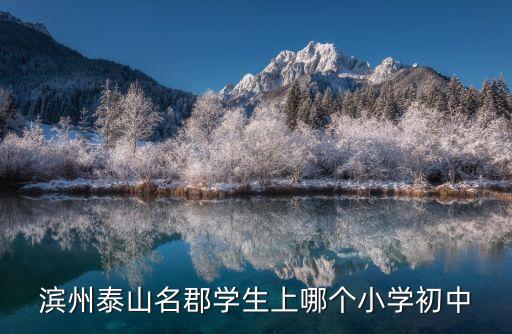 泰山名郡是哪个学区房啊，滨州泰山名郡学生上哪个小学初中