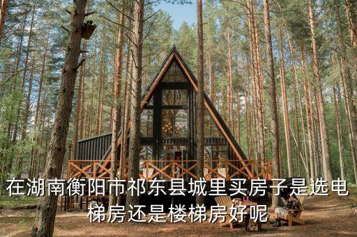 祁东哪个学区房最好，在湖南衡阳市祁东县城里买房子是选电梯房还是楼梯房好呢