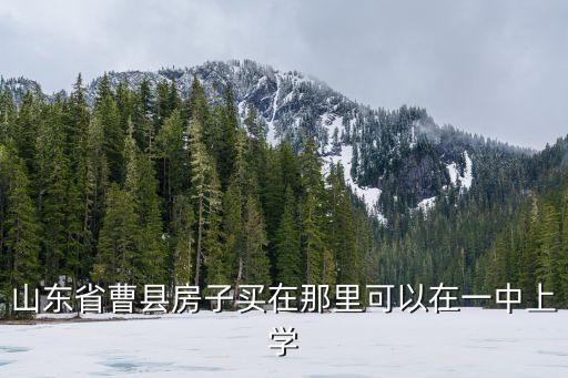 山东省曹县房子买在那里可以在一中上学