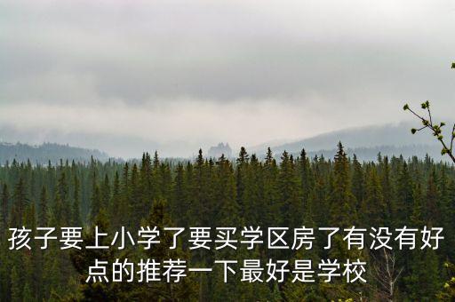 孩子要上小学了要买学区房了有没有好点的推荐一下最好是学校