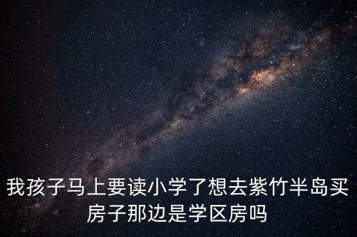 我孩子马上要读小学了想去紫竹半岛买房子那边是学区房吗