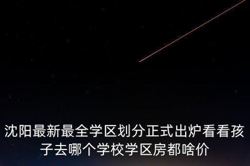 沈阳最新最全学区划分正式出炉看看孩子去哪个学校学区房都啥价