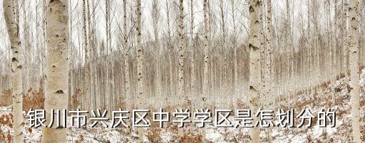 银川市兴庆区中学学区是怎划分的