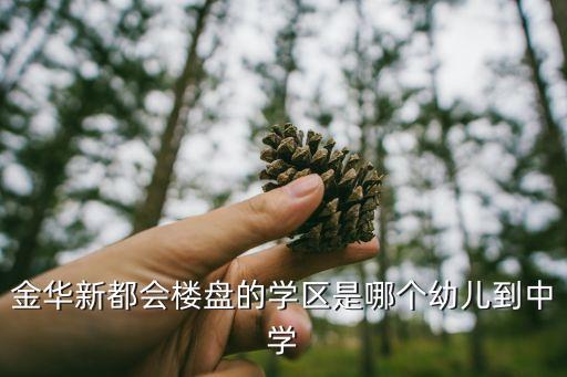 金华新都会楼盘的学区是哪个幼儿到中学