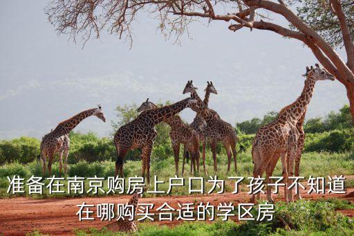准备在南京购房上户口为了孩子不知道在哪购买合适的学区房
