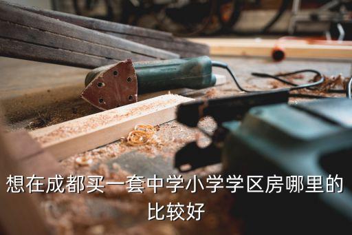 想在成都买一套中学小学学区房哪里的比较好