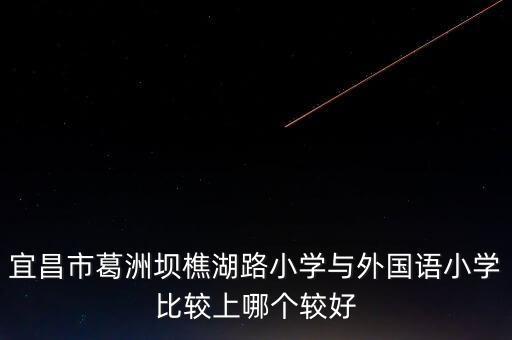 宜昌市葛洲坝樵湖路小学与外国语小学比较上哪个较好