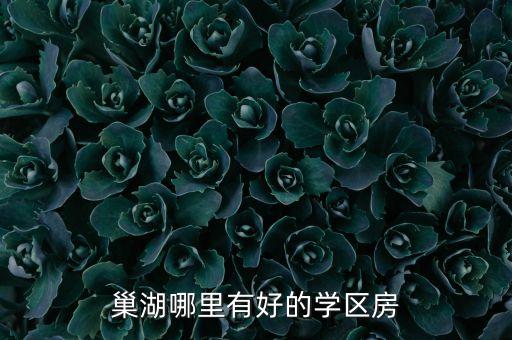 巢湖哪里有好的学区房
