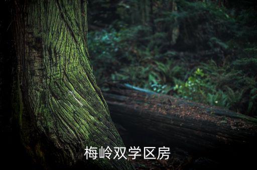 双学区房属于哪个区，请教哪些小区属于苏州高新区实验小学和实验初中的双学区两个学校