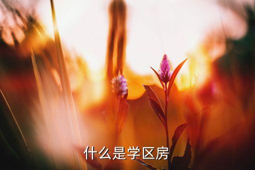 龙泰小学学区房是哪些，济南阳光新路上龙泰苑京鲁山庄的属于哪个学区的