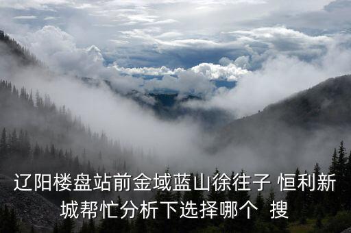 辽阳楼盘站前金域蓝山徐往子 恒利新城帮忙分析下选择哪个  搜