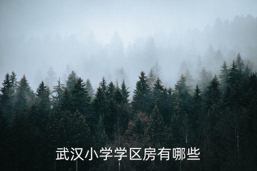 武汉小学学区房有哪些