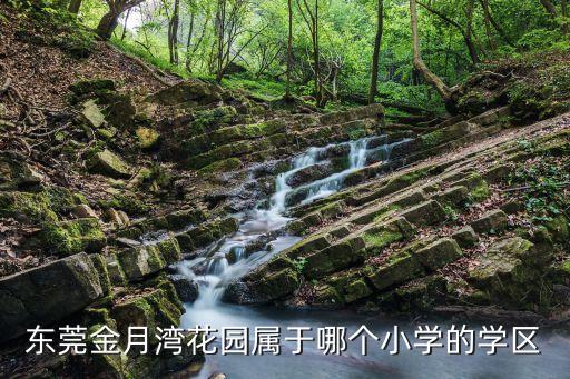 东莞金月湾花园属于哪个小学的学区