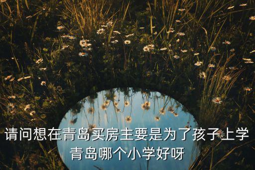 请问想在青岛买房主要是为了孩子上学青岛哪个小学好呀