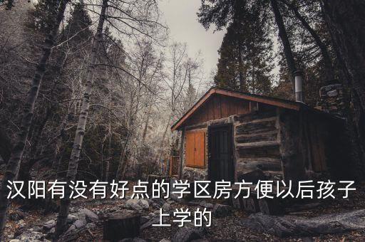 汉阳有没有好点的学区房方便以后孩子上学的