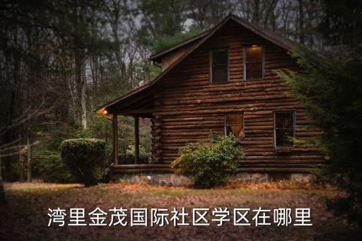 湾里金茂国际社区学区在哪里