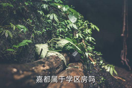 商都雅居归哪个学区房，嘉都属于学区房吗