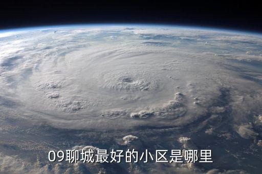 09聊城最好的小区是哪里