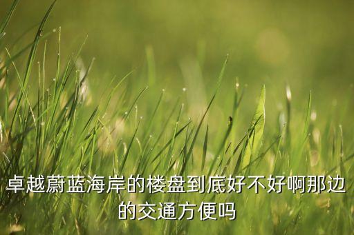 卓越蔚蓝海岸的楼盘到底好不好啊那边的交通方便吗
