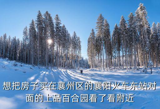 想把房子买在襄州区的襄阳火车东站对面的上品百合园看了看附近