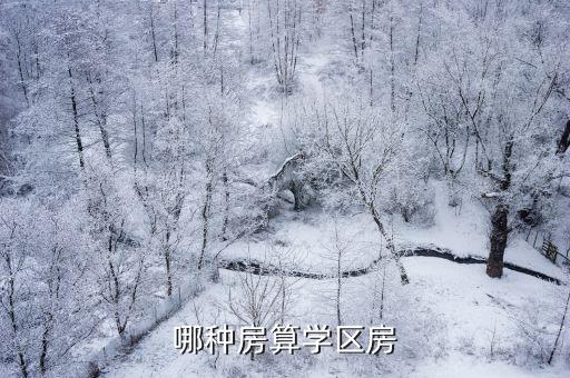 哪种房算学区房