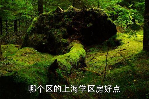 哪个区的上海学区房好点